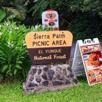 El Yunque National Forest - Sierra Palm Picnic Area