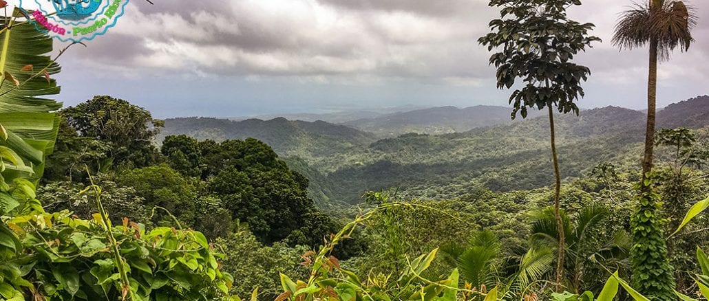 El Yunque National Forest - Yokahú Observation Tower - Puerto Rico