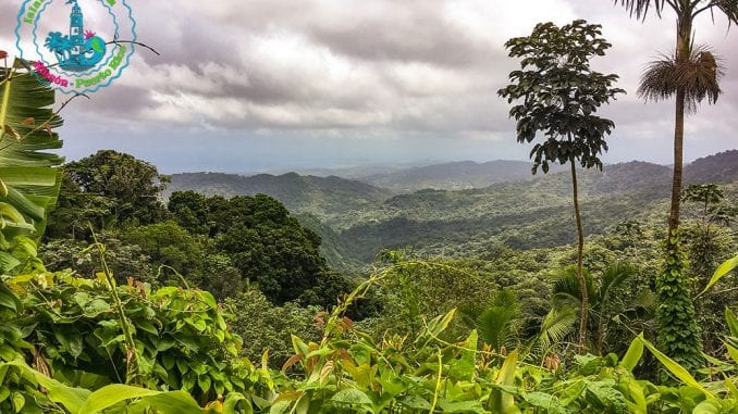 El Yunque National Forest - Yokahú Observation Tower - Puerto Rico